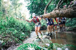 BIB: 
                            <button type="button" onclick="openModal(25458917)" class="btn btn-primary btn-sm float-right btn-popup" data-toggle="modal" data-target=".modal-high-quality">
                        <i class="fas fa-shopping-cart"></i> Add to Cart
                    </button>
                                            <button type="button" onclick="isThisMe(25458917, true)" class="btn btn-success btn-sm float-right btn-popup btn-isme hidden" data-toggle="tooltip" data-placement="bottom" title="นี่คือรูปของคุณใช่ไหม คลิกที่นี่เพื่อเอาเข้าอัลบั้ม">
                        <i class="fas fa-plus"></i> Add to album
                    </button>
                    <button type="button" onclick="isThisMe(25458917, false)" class="btn btn-warning btn-sm float-right btn-popup btn-isnotme hidden">
                        <i class="fas fa-ban"></i> Remove from album
                    </button>